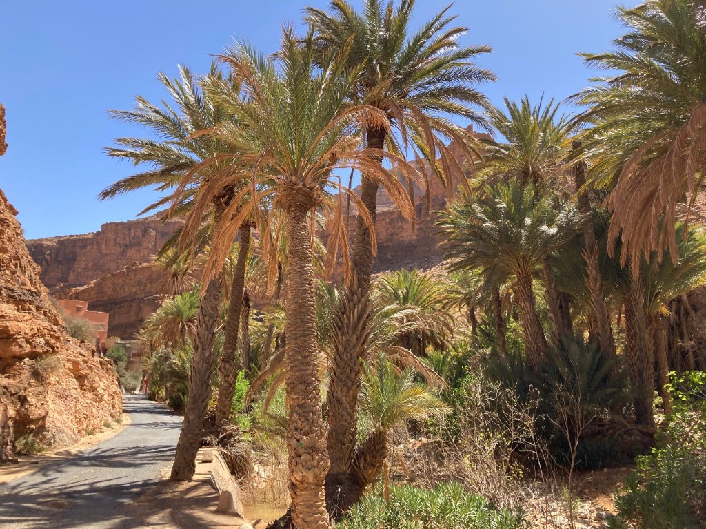 Exploring the Anti-Atlas: Day Trips from Kasbah Ifoulki