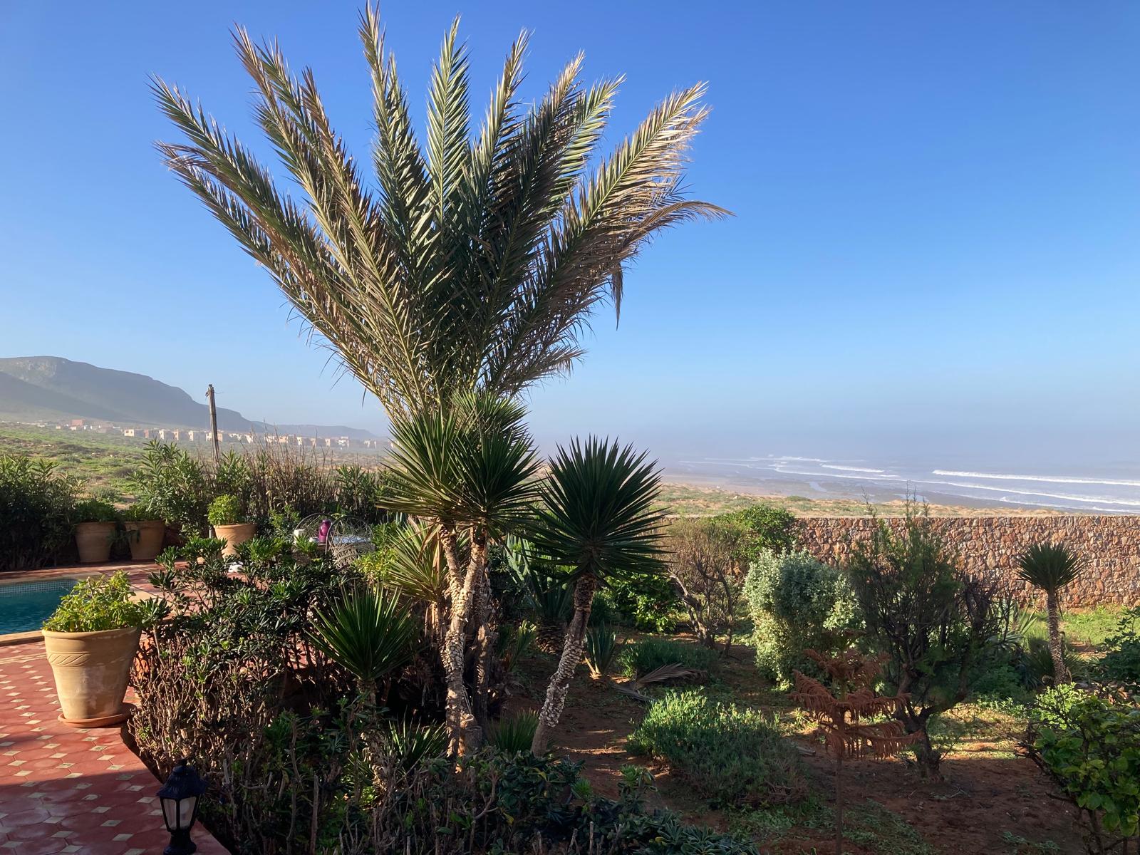 Morning garden and shoreline views